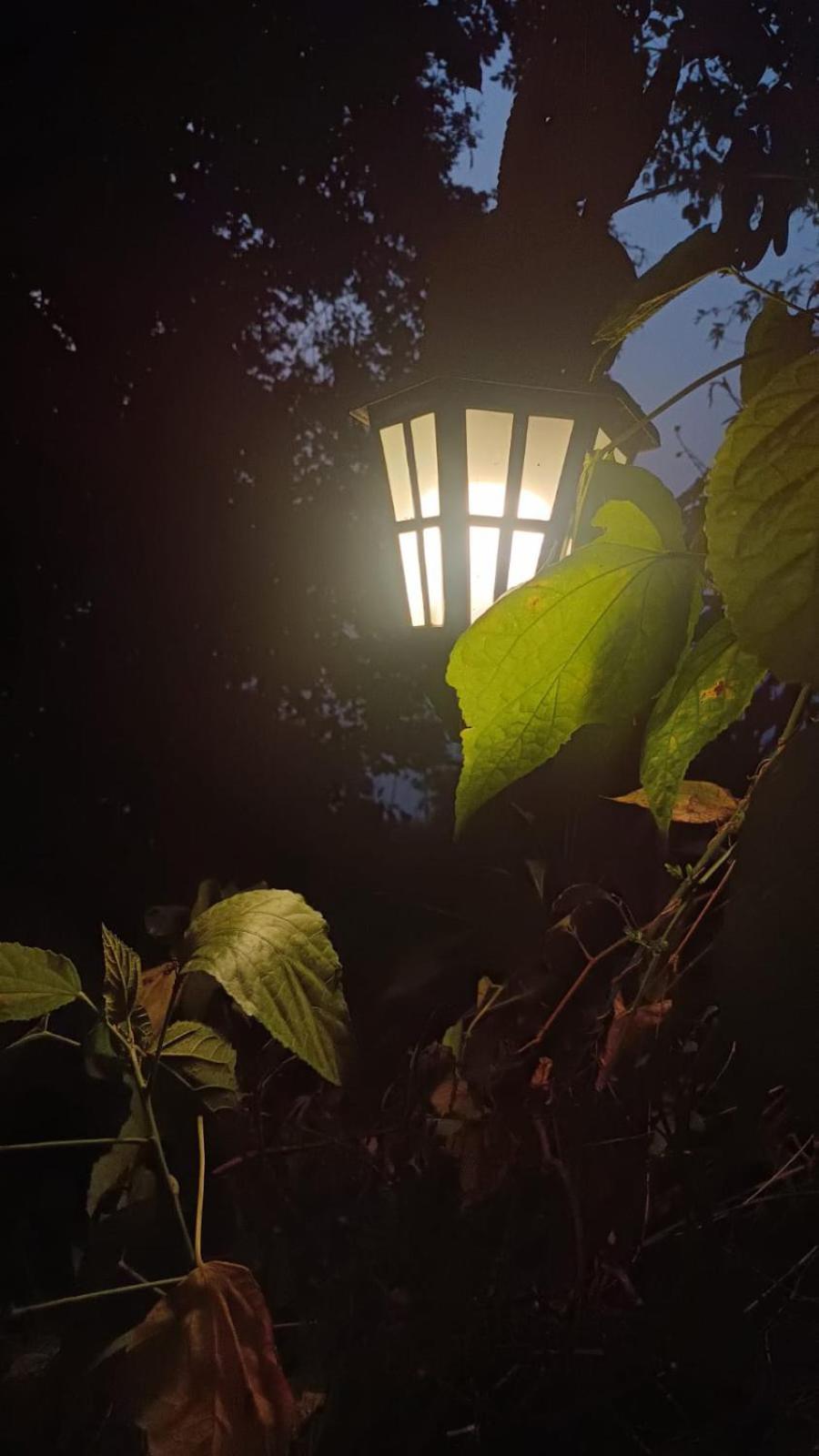Hotel Aam'S Courtyard Kalimpong Esterno foto