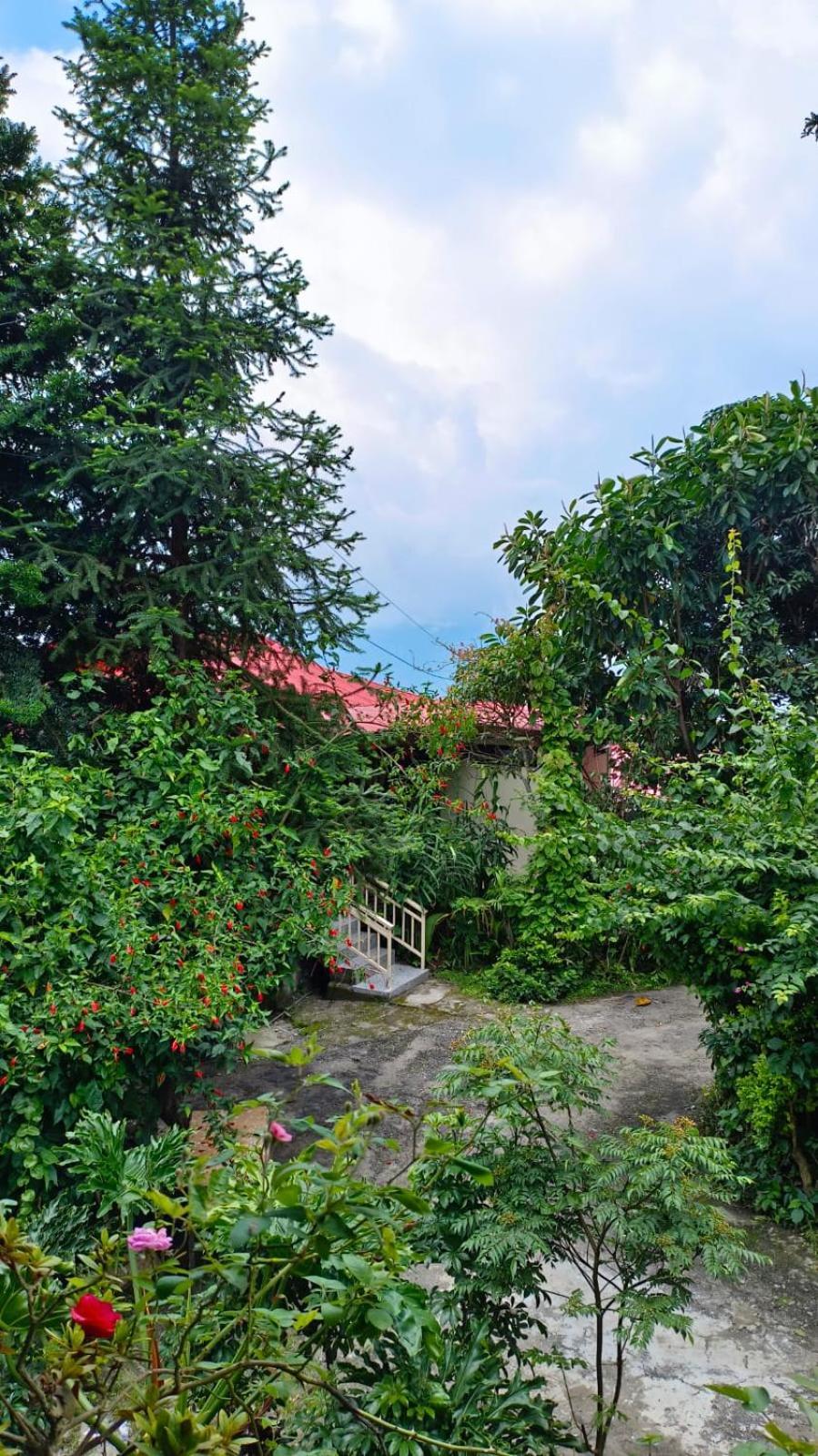 Hotel Aam'S Courtyard Kalimpong Esterno foto